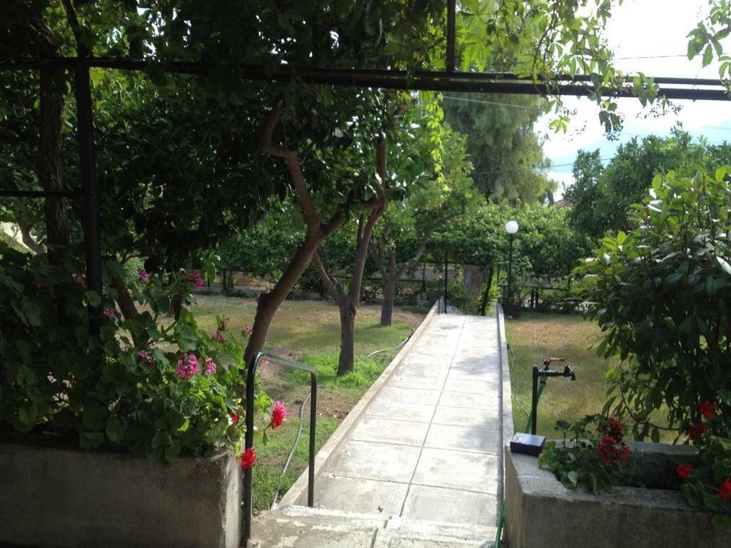 Appartamento Soile Georgia Loutra Edipsou  Esterno foto
